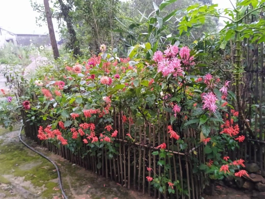 Meikha Homestay Pynursla Extérieur photo